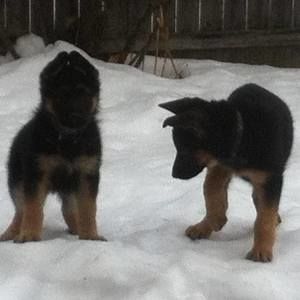 Meet your Posher, Veryl